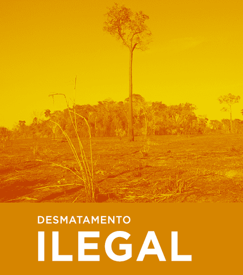 desmatamento-ilegal